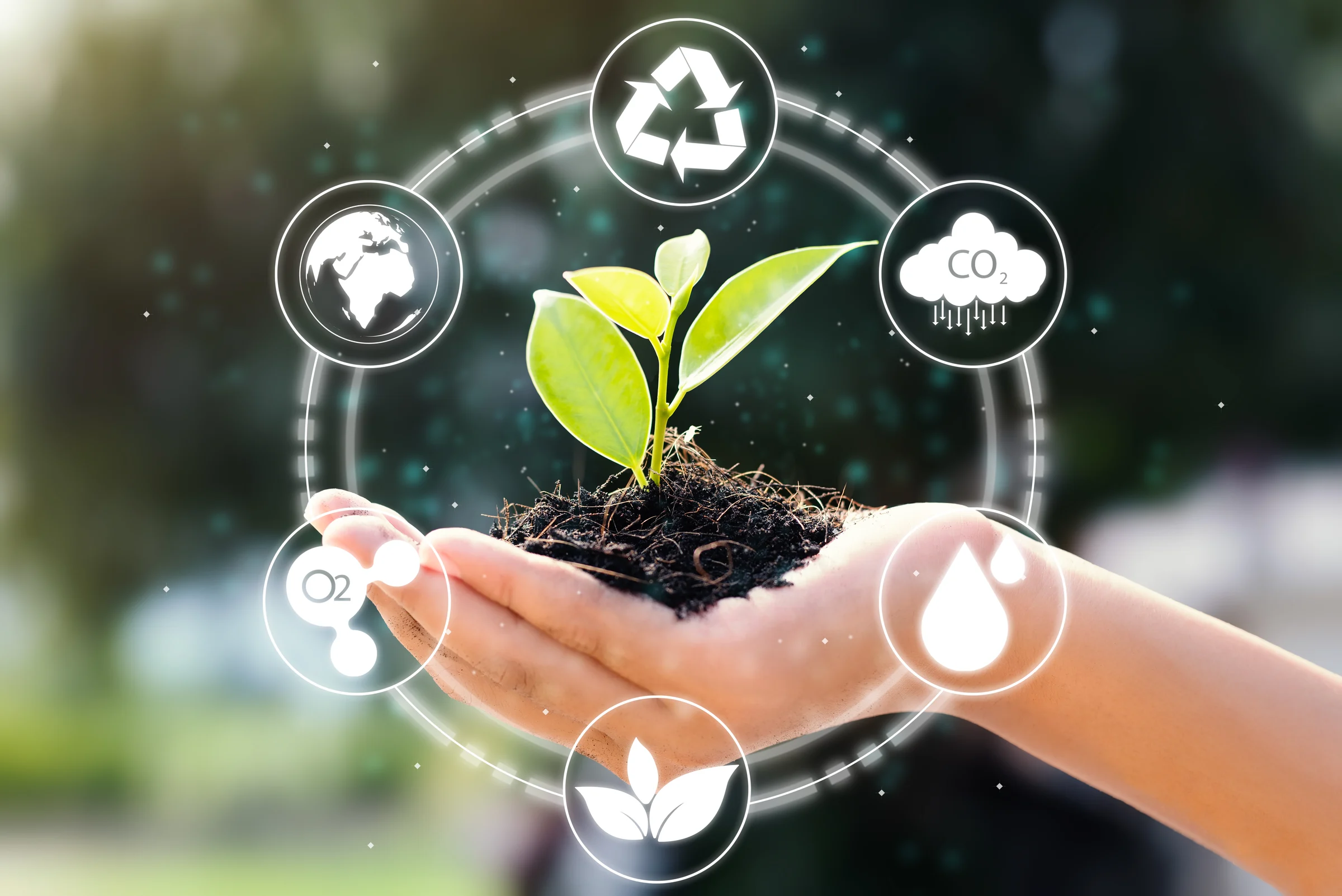 Agritech & Sustainability